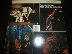 画像1: YOUNG RASCALS/COLLECTIONS