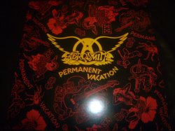 画像1: AEROSMITH/PERMANENT VACATION