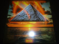 画像1: LOVE UNLIMITED ORCHESTRA/RISE