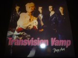 TRANSVISION VAMP/POP ART