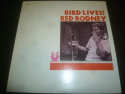 画像1: RED RODNEY/BIRD LIVES!