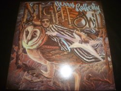 画像1: GERRY RAFFERTY/NIGHT OWL