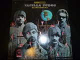 画像: VANILLA FUDGE/RENAISSANCE