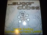 画像: SUGARCUBES/HERE TODAY,TOMORROW NEXT WEEK!