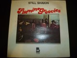 画像: FLAMIN GROOVIES/STILL SHAKIN