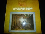 画像: DARRYL WAY'S WOLF/SATURATION POINT