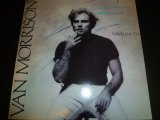 画像: VAN MORRISON/WAVELENGTH