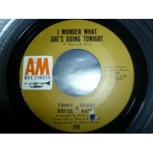 画像: TOMMY BOYCE & BOBBY HART/I WONDER WHAT SHE'S DOING TONIGHT