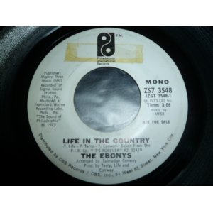 画像: EBONYS/LIFE IN THE COUNTRY