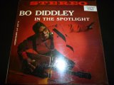 画像: BO DIDDLEY/IN THE SPOTLIGHT