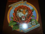 画像: ROBERT HUNTER/TIGER ROSE