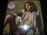 画像: PETER FRAMPTON/I'M IN YOU