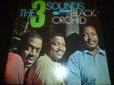 画像: THREE SOUNDS/BLACK ORCHID