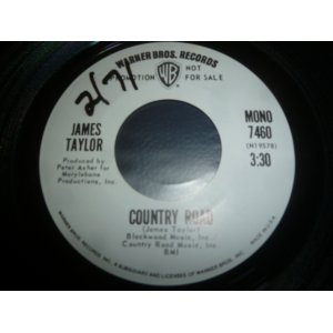 画像: JAMES TAYLOR/COUNTRY ROAD