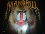 画像: MANDRILL/SAME