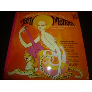 画像: TONY MOTTOLA/WARM, WILD AND WONDERFUL