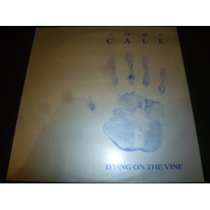 画像: JOHN CALE/DYING ON THE VINE (12")