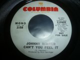 画像: JOHNNY WINTER/CAN'T YOU FEEL IT