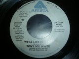 画像: TONY JOE WHITE/WE'LL LIVE ON LOVE