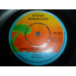 画像: STEVE WINWOOD/WHILE YOU SEE A CHANCE