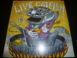 画像: CATFISH FEATURING BOB HODGE/LIVE