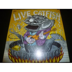 画像: CATFISH FEATURING BOB HODGE/LIVE