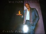 画像: WILTON FELDER/GENTLE FIRE