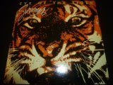 画像: SURVIVOR/EYE OF THE TIGER