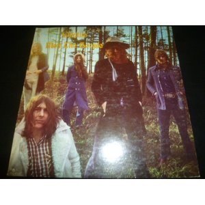 画像: MOTT THE HOOPLE/WILDLIFE