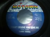 画像: TAMMI TERRELL/I CAN'T BELIEVE YOU LOVE ME