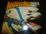 画像: CURTIS AMY/MUSTANG