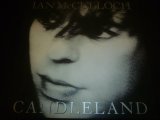 画像: IAN McCULLOCH/CANDLELAND