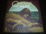 画像: GRATEFUL DEAD/WAKE OF THE FLOOD