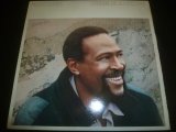 画像: MARVIN GAYE/DREAM OF A LIFETIME