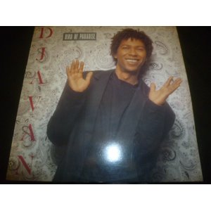 画像: DJAVAN/BIRD OF PARADISE