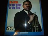 画像: TED CURSON/THE NEW THING&THE BLUE THING