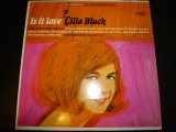 画像: CILLA BLACK/IS IT LOVE?