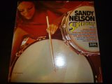 画像: SANDY NELSON/SUPERDRUMS!