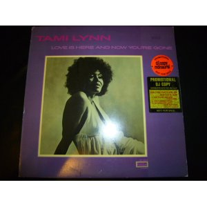 画像: TAMI LYNN/LOVE IS HERE & NOW YOU'RE GONE