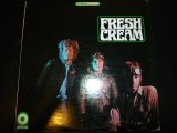 画像: CREAM/FRESH CREAM