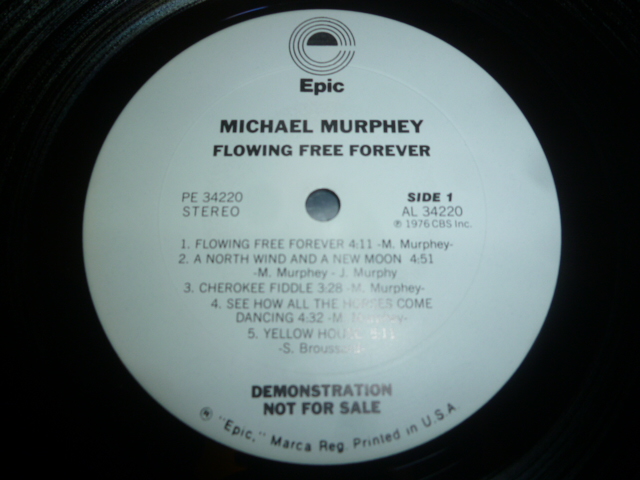 画像: MICHAEL MURPHEY/FLOWING FREE FOREVER