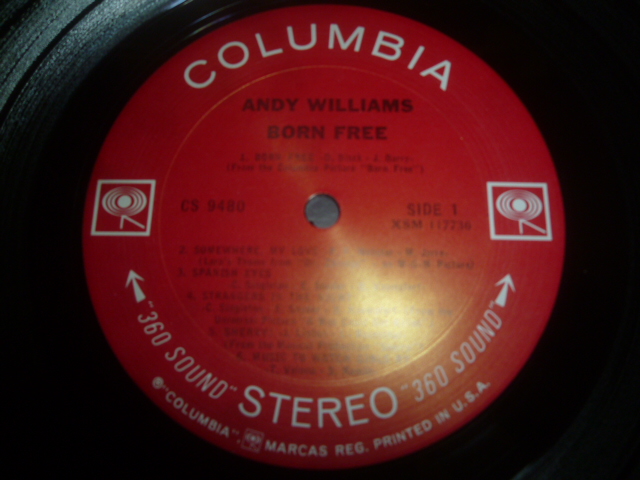 画像: ANDY WILLIAMS/BORN FREE