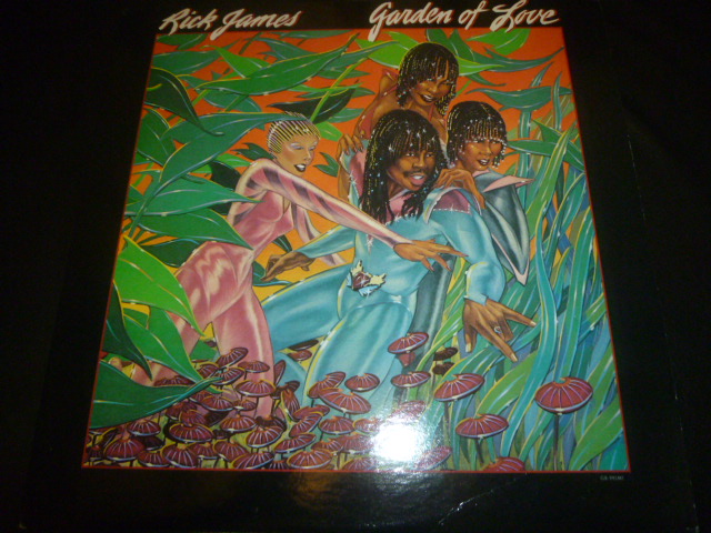 画像1: RICK JAMES/GARDEN OF LOVE