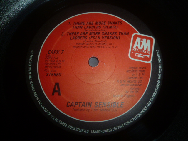 画像: CAPTAIN SENSIBLE/THESE ARE MORE SNAKES THAN LADDERS (12")