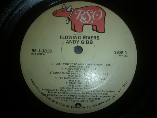 画像: ANDY GIBB/FLOWING RIVERS