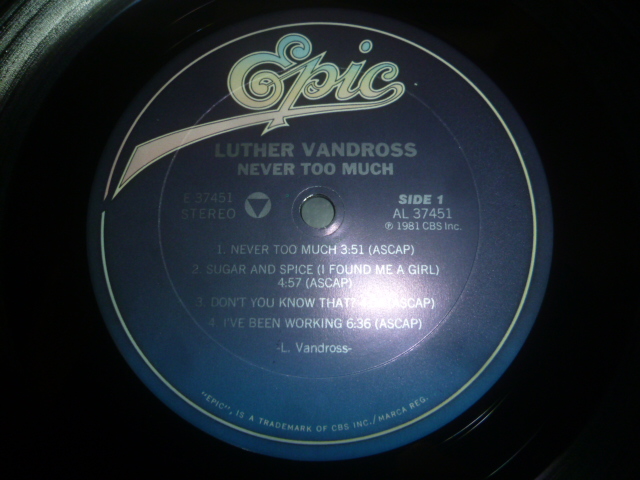 画像: LUTHER VANDROSS/NEVER TOO MUCH